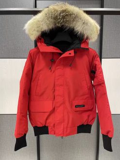 CnFans 微信图片 20241024221543