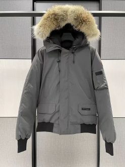 CnFans 微信图片 20241024221554