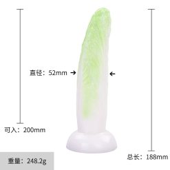 CnFans 微信图片 20250217215101